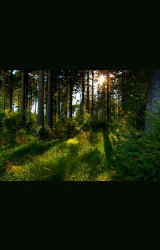 Летние каникулы