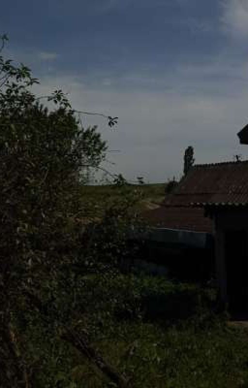 лето в деревне