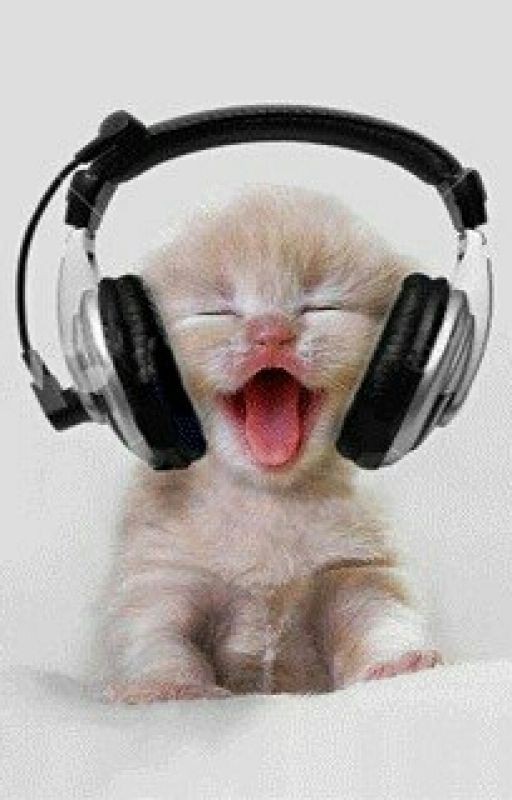 тексты песен