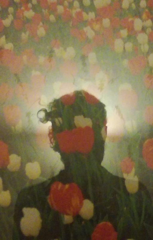 Shalfey (северный роман)