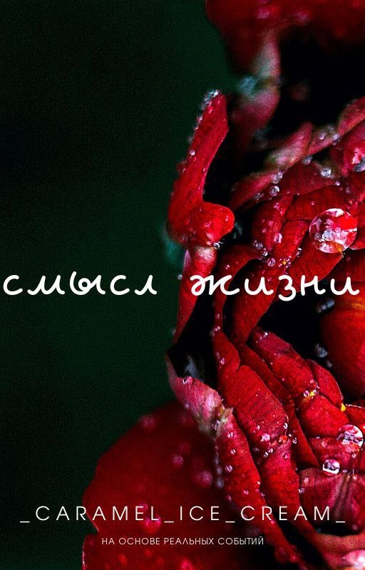 Смысл жизни