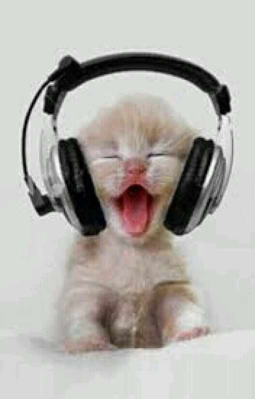 Сборник музыки