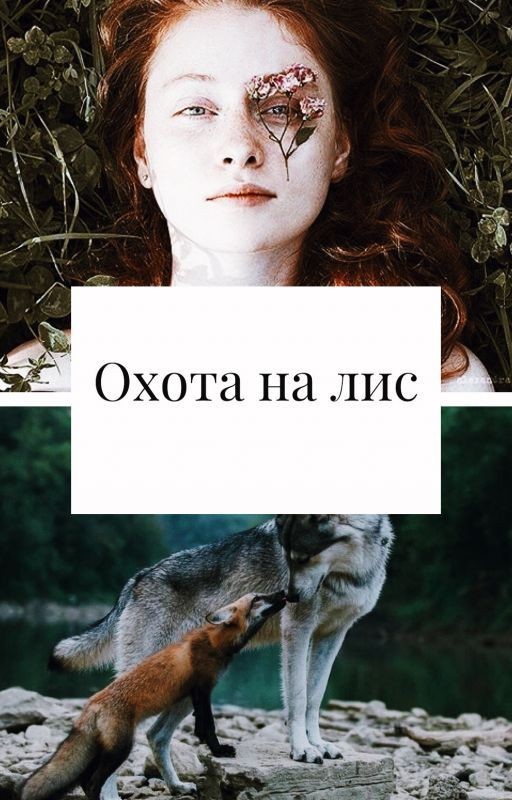 Охота на лис