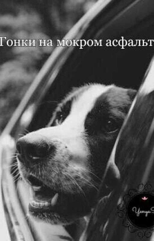 Гонки на мокром асфальте