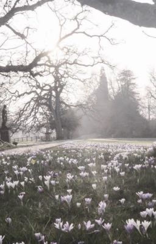 Просто мои мысли