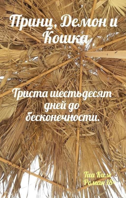 Принц, Демон и Кошка. Книга Третья. 360 дней до бесконечности