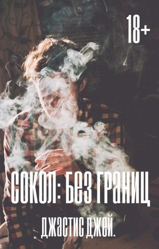 Сокол - без границ