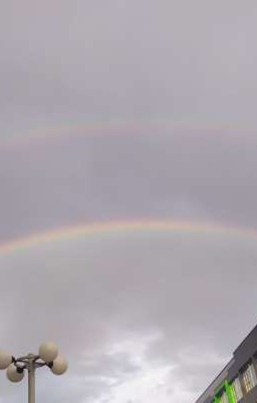 Песни моего плейлиста