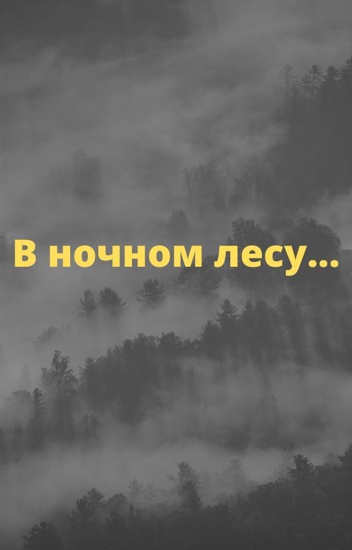 В ночном лесу