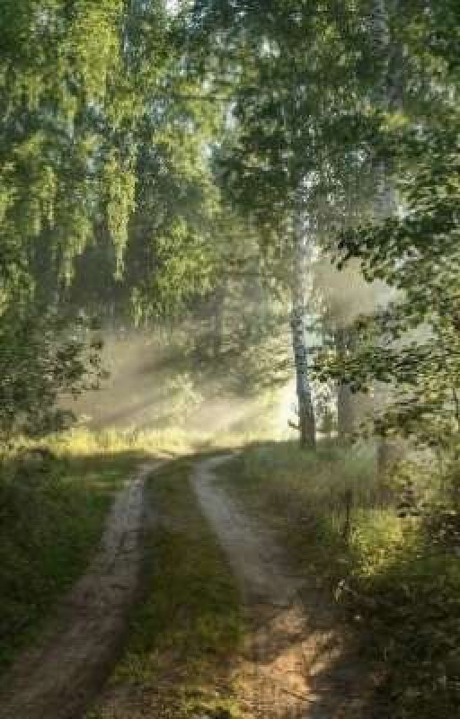 Стихи Собственного Сочинения