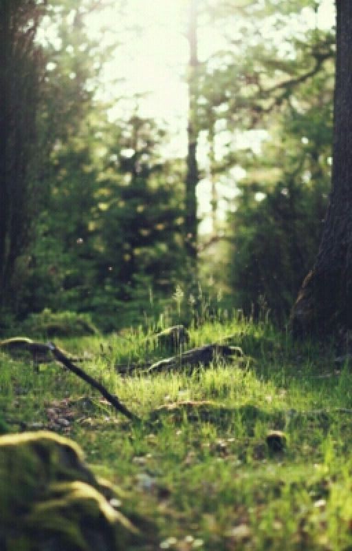 S.T.A.L.K.E.R