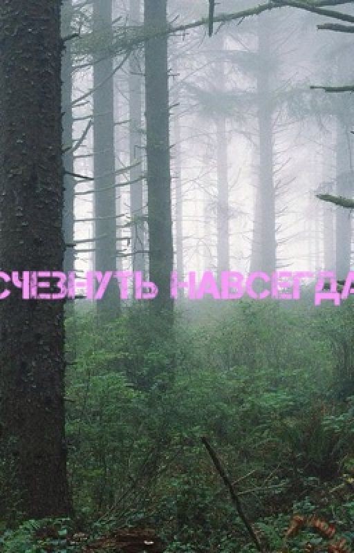 Исчезнуть навсегда