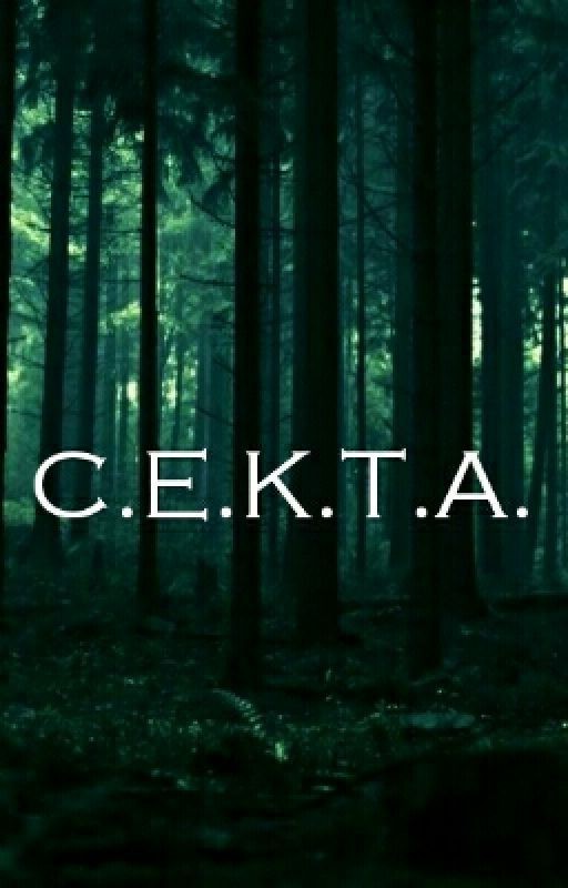 С.Е.К.Т.А