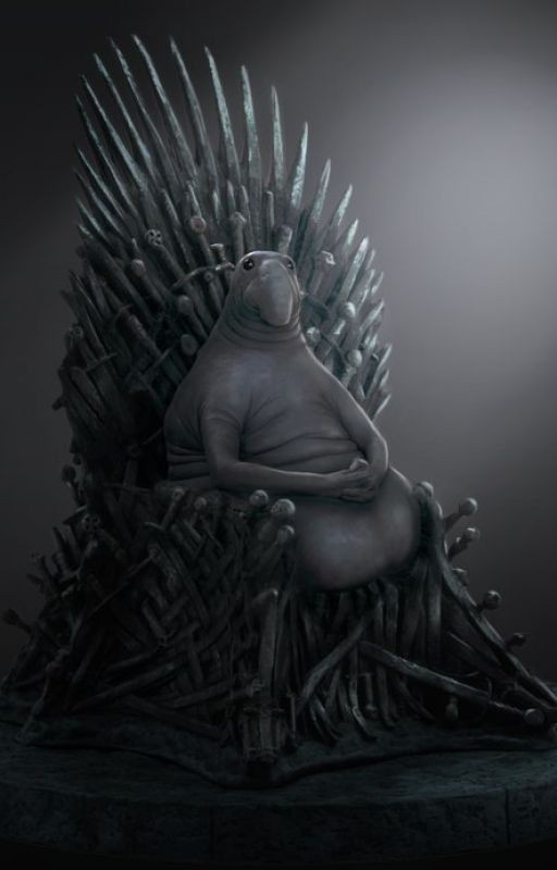 Слова разных песен