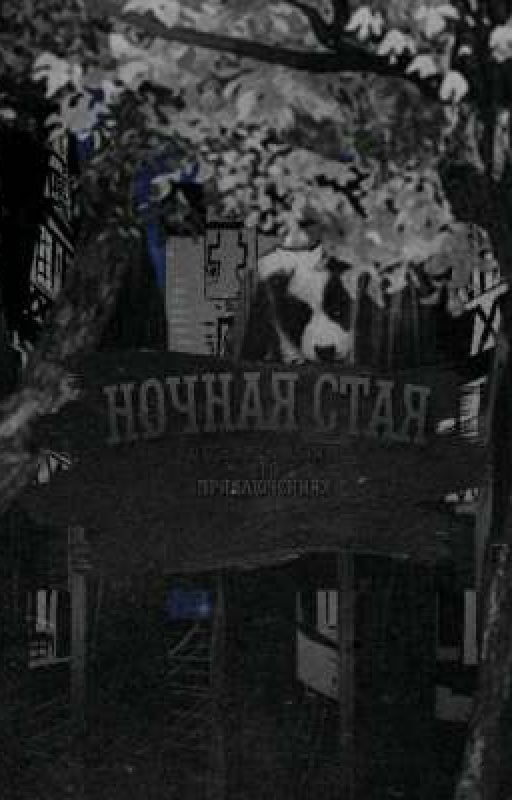 Ночная стая