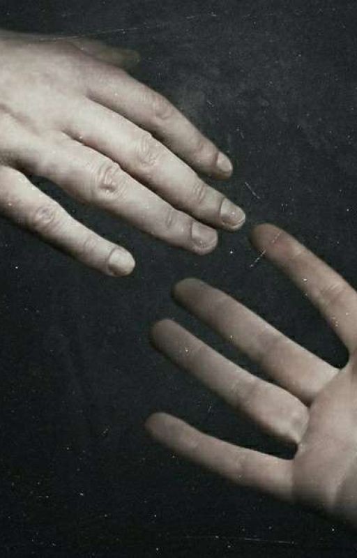 Слились с домом