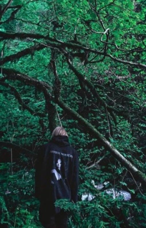 Order 303 // pharaoh
