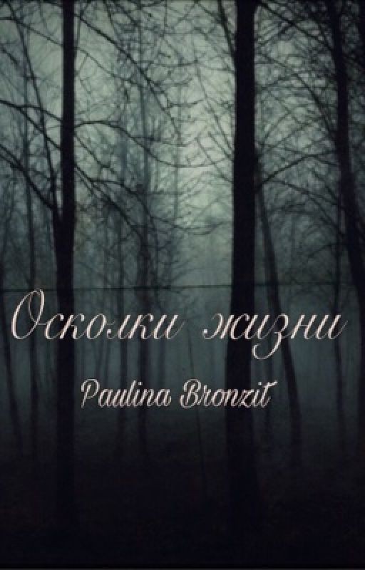 Осколки жизни