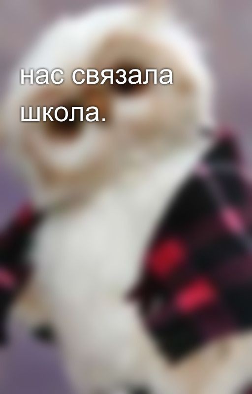 нас связала школа