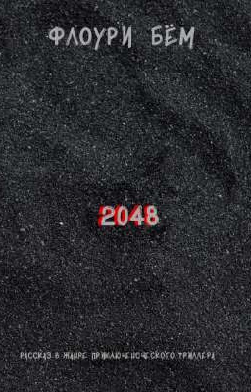 2048