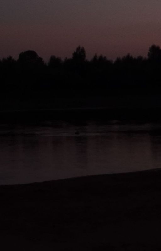 Из жизни бреду(я)щего музыканта