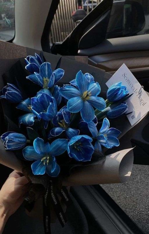 В Такт Музыки