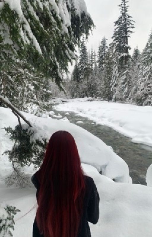 Призрак Декабря. Ноа