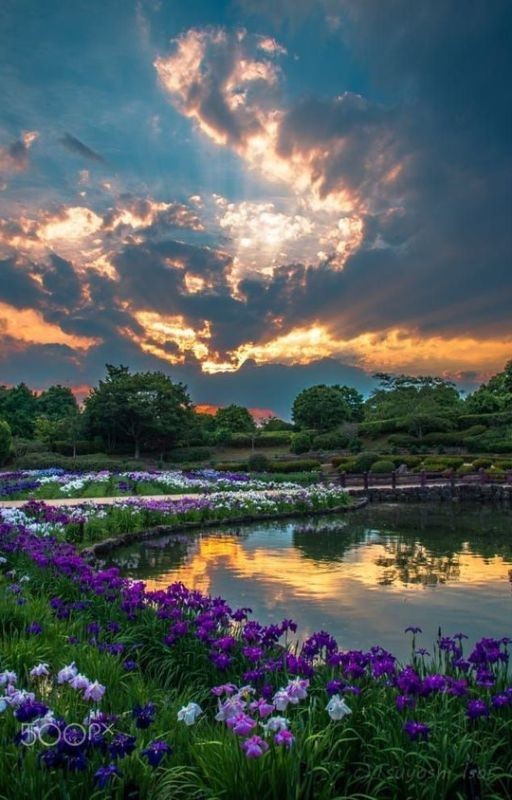 ~Бредни, рисунки и почеркушки Автора~