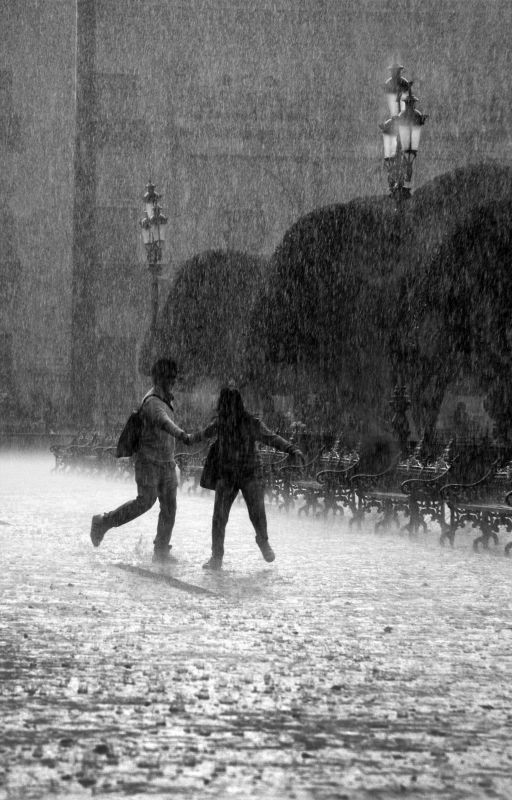 Беседа при дожде