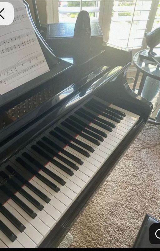 Музыка нас связала