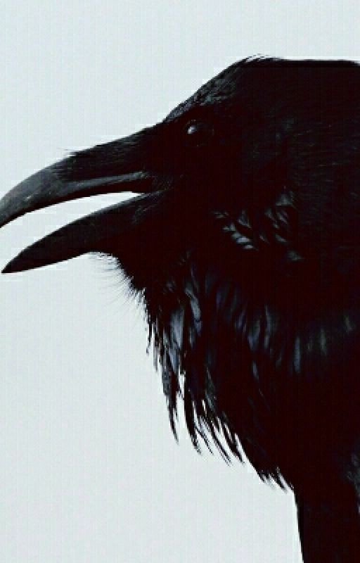 Бремя бога: Начало