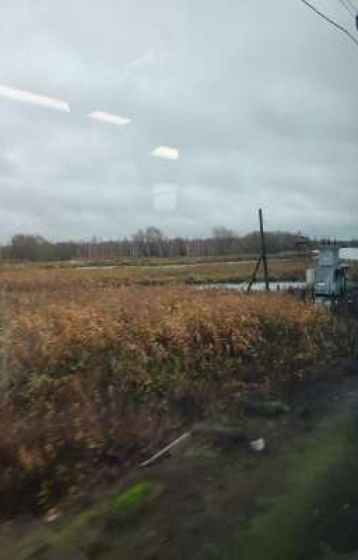 Безымянный музыкант