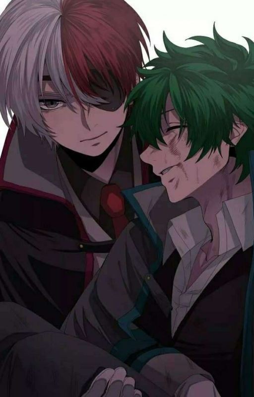 Герой и Злодей. (ТодоДеку) ЗАКОНЧЕН