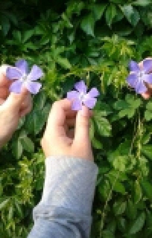 |•музыка её стихия•|