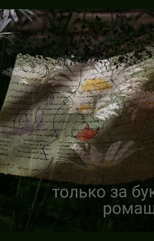 Только за букет ромашек