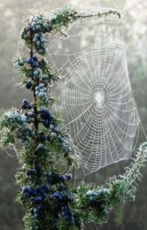 Последний вздох