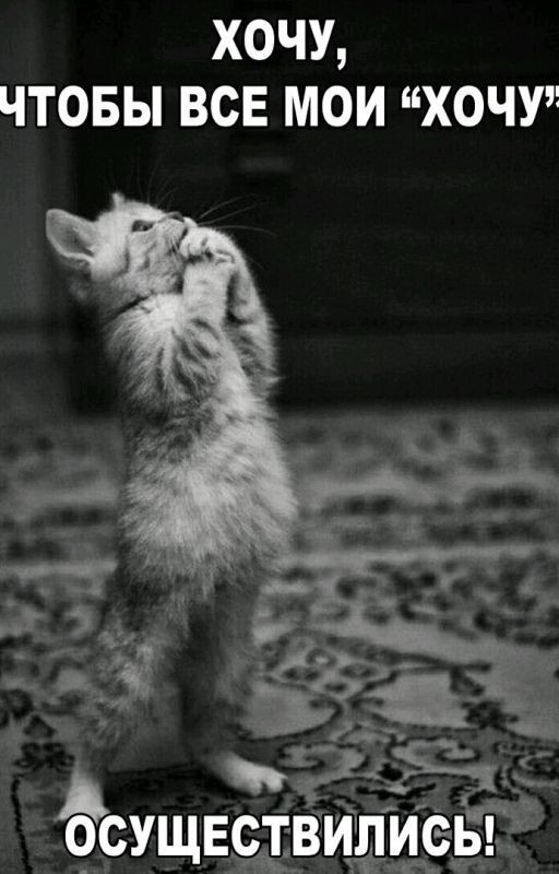 музыка лирика