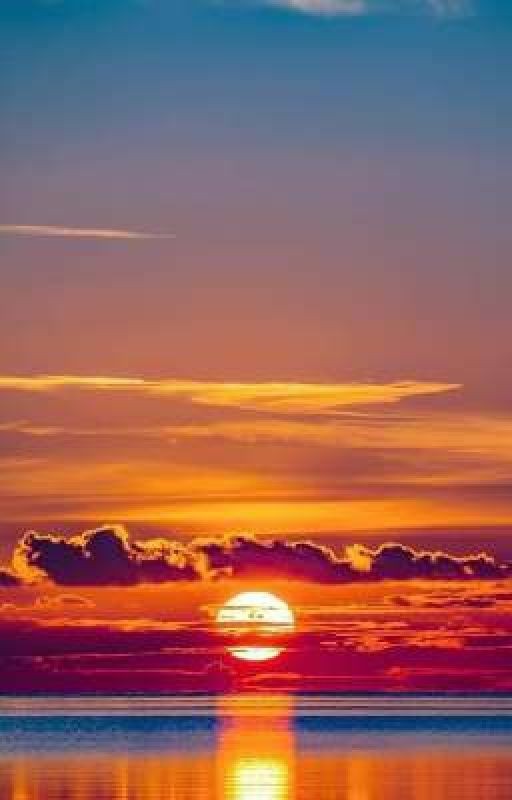 Дневник вызывальщиков