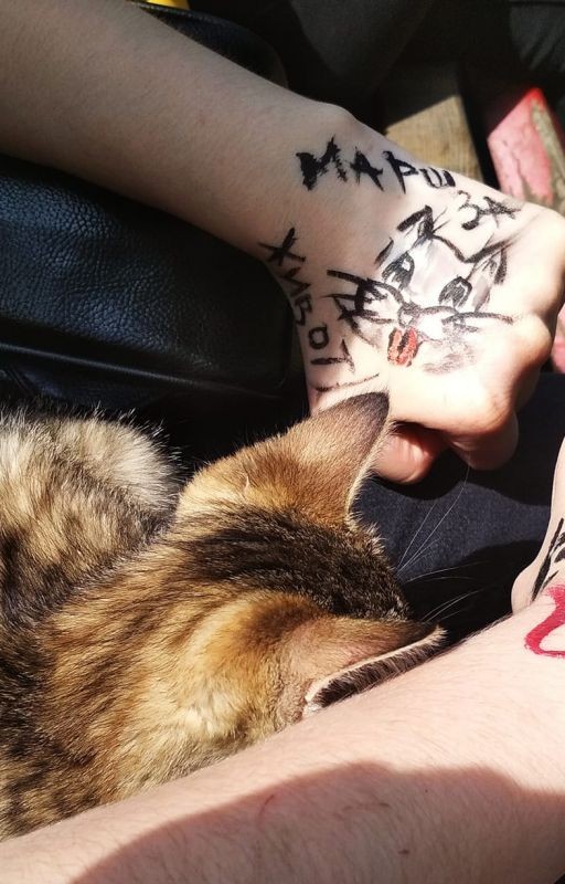 Сострадание