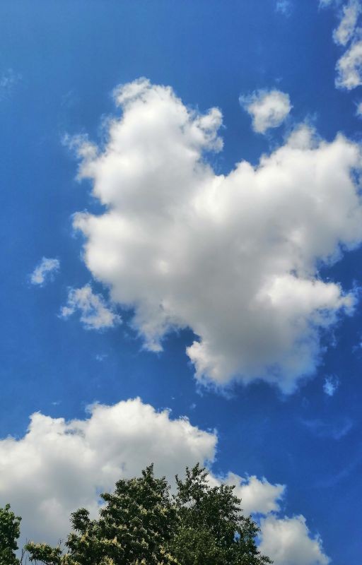 Чёрный день