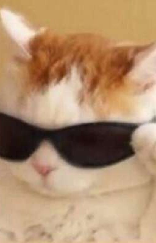 Тексты ваших любимых песен