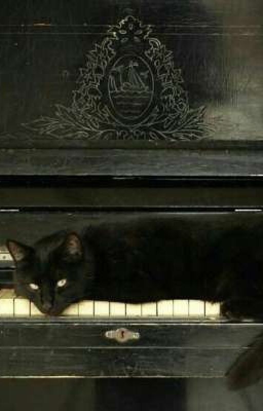 Кот не знает нот