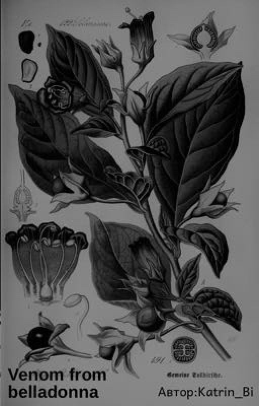 Venom from belladonna