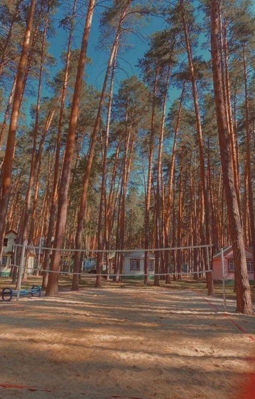 Лагерь «Лесной»|| Софья Кульгавая