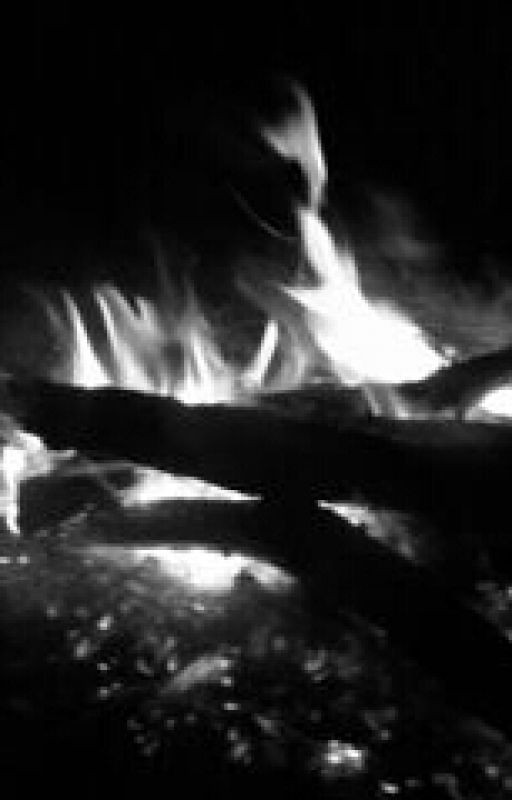 последняя лунная ночь