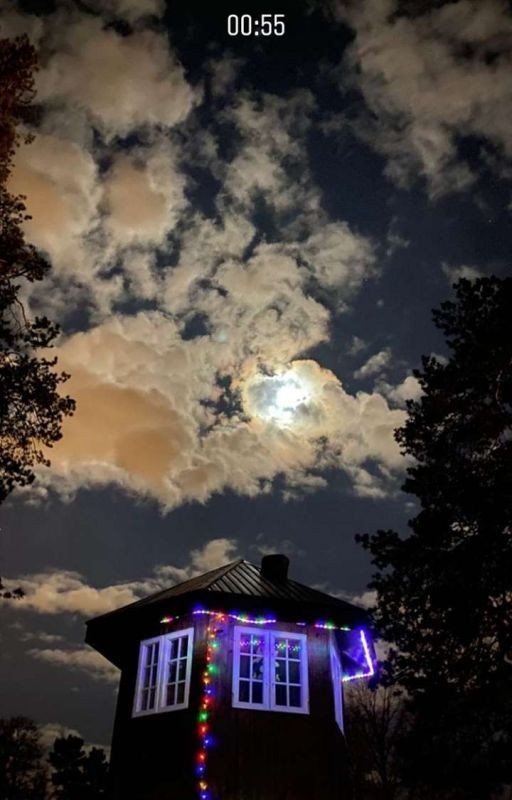 Сестра Эльмана или как жить в доме Raava music