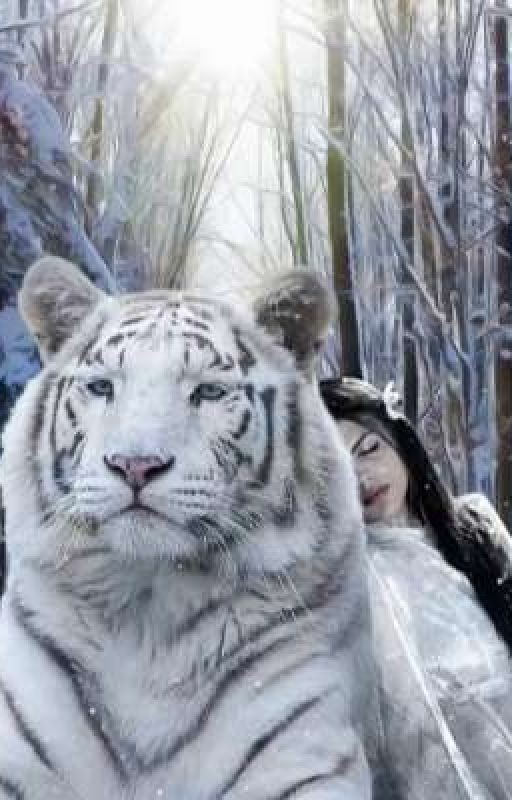 Музыка любви