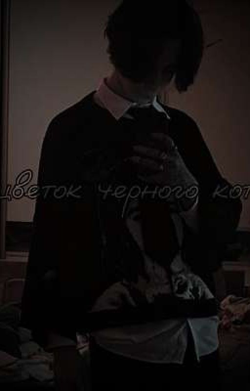 ||цветок черного кота..||