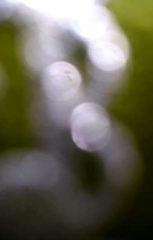 Когда Музыка Звучит