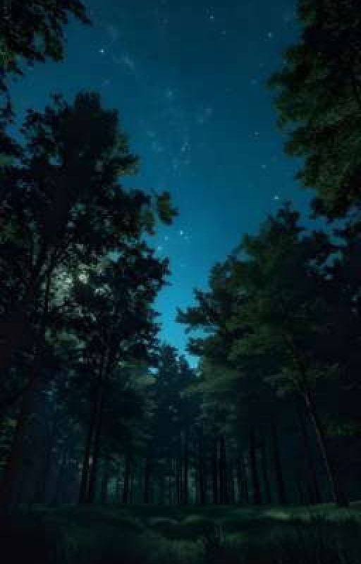 Там где музыка уходит в свет 